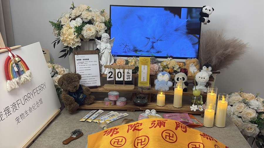 盐城宠物单独火化